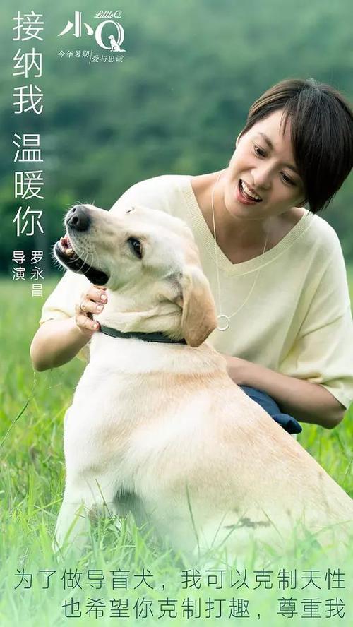 纽波特办理假驾驶证